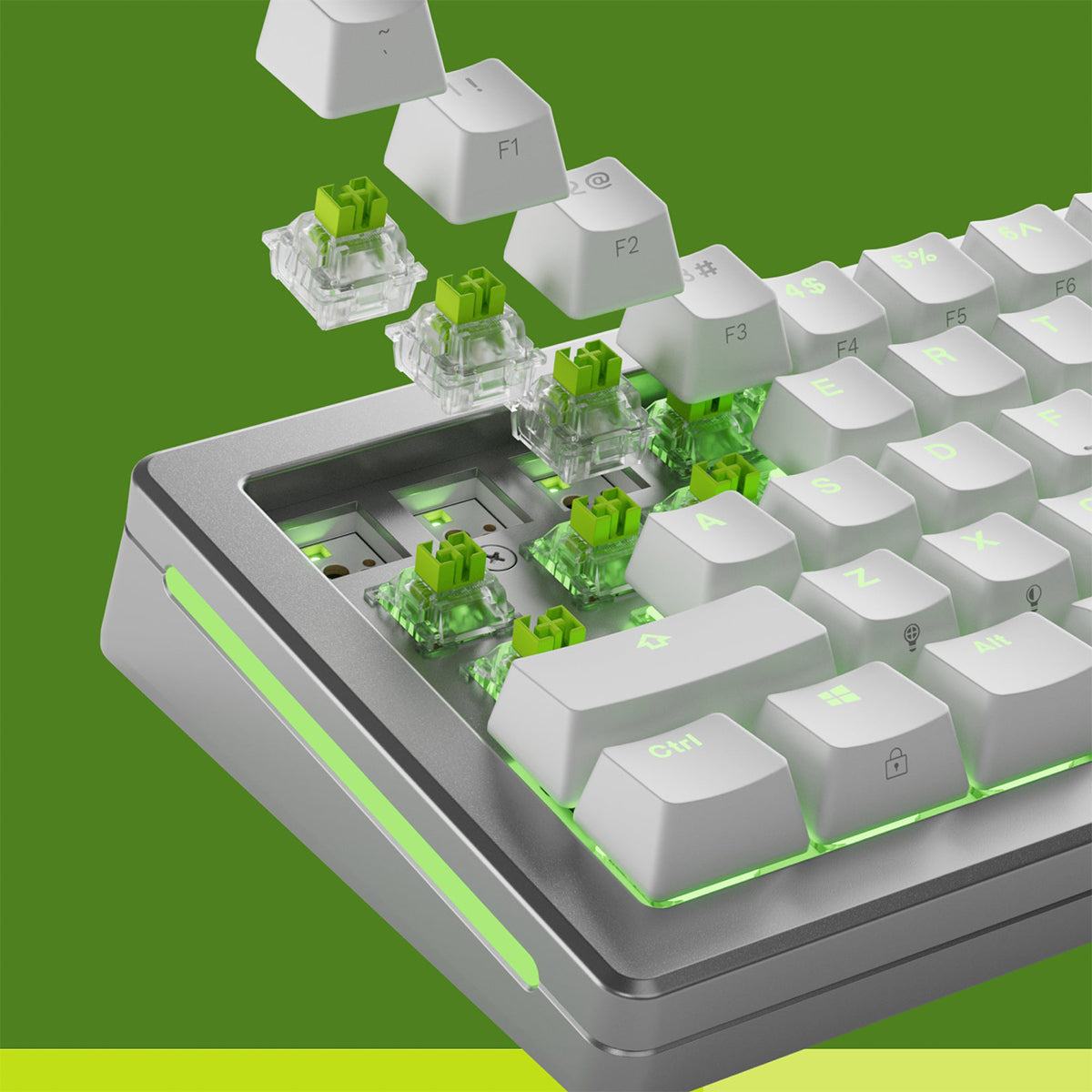 Glorious Raptor HE Standard Clicky Switches - 36 Pack