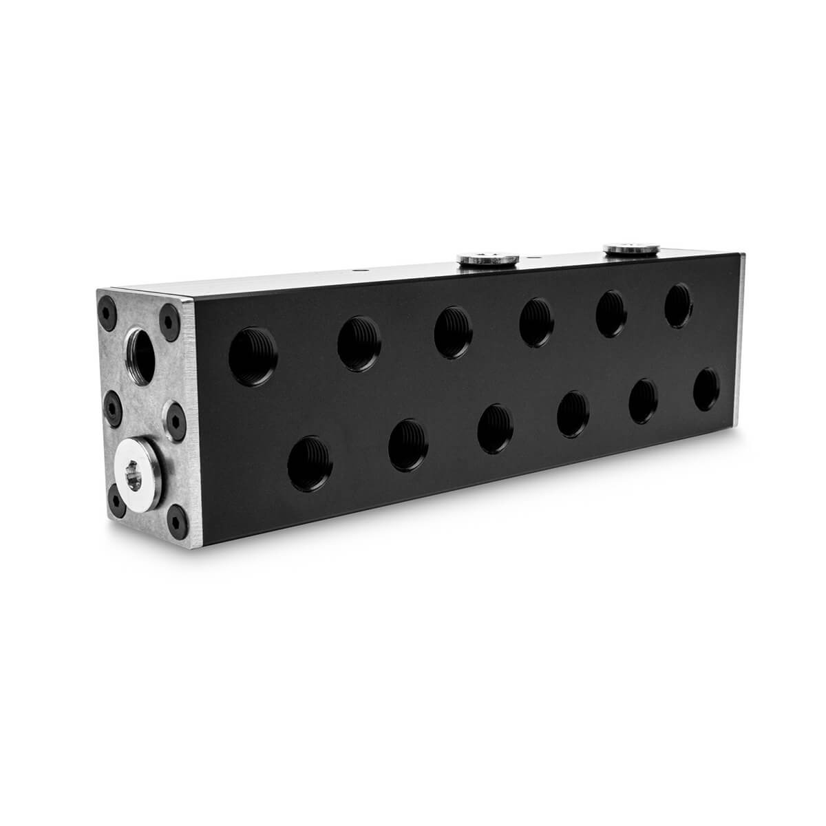 EKWB EK-Pro Manifold 2CPU 4GPU - Acetal