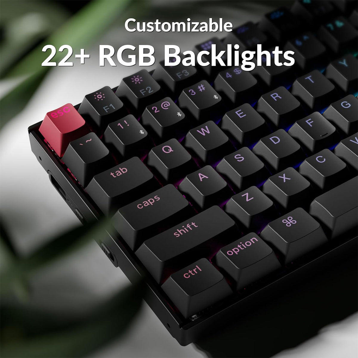 Keychron K2X 75% RGB Wireless Mechanical Keyboard - K Pro Red Switch
