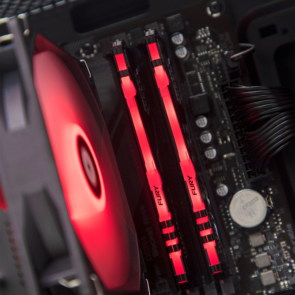 Carnage RX 7600 Ryzen 5 5600 Gaming PC