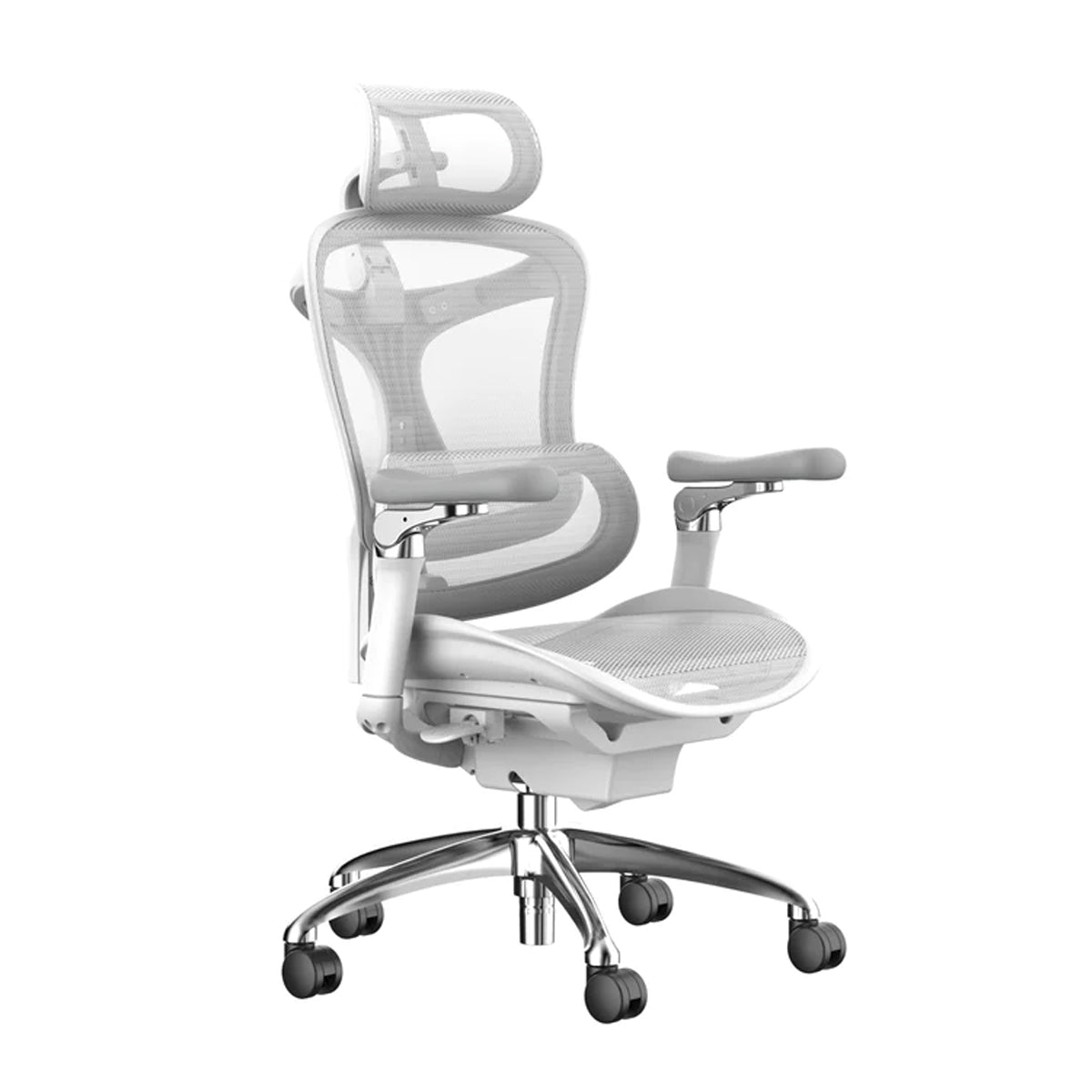 Sihoo C300 Pro Mesh Ergonomics Office Chair Grey