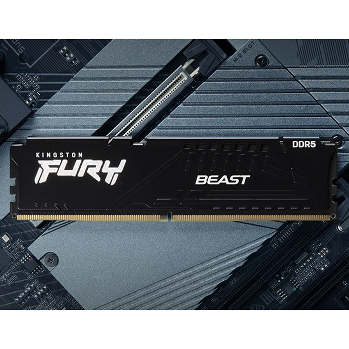 Kingston FURY Beast RGB 32GB (2x16GB) DDR5-6400 CL32 Memory (KF564C32BBEAK2-32)
