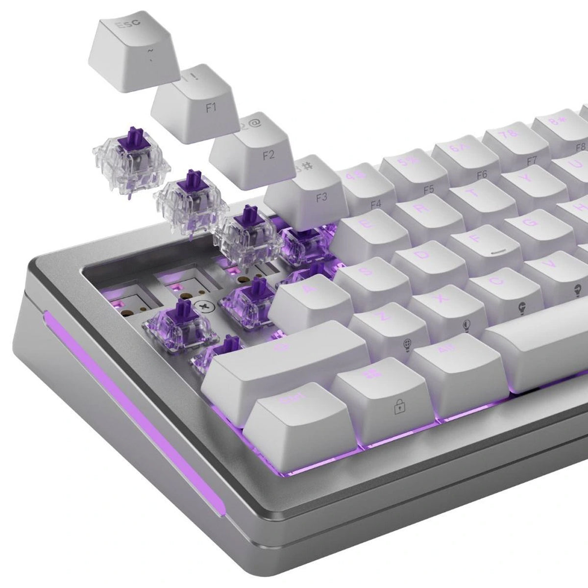 Glorious Mako Mechanical Lubed Tactile Switches - 110pcs