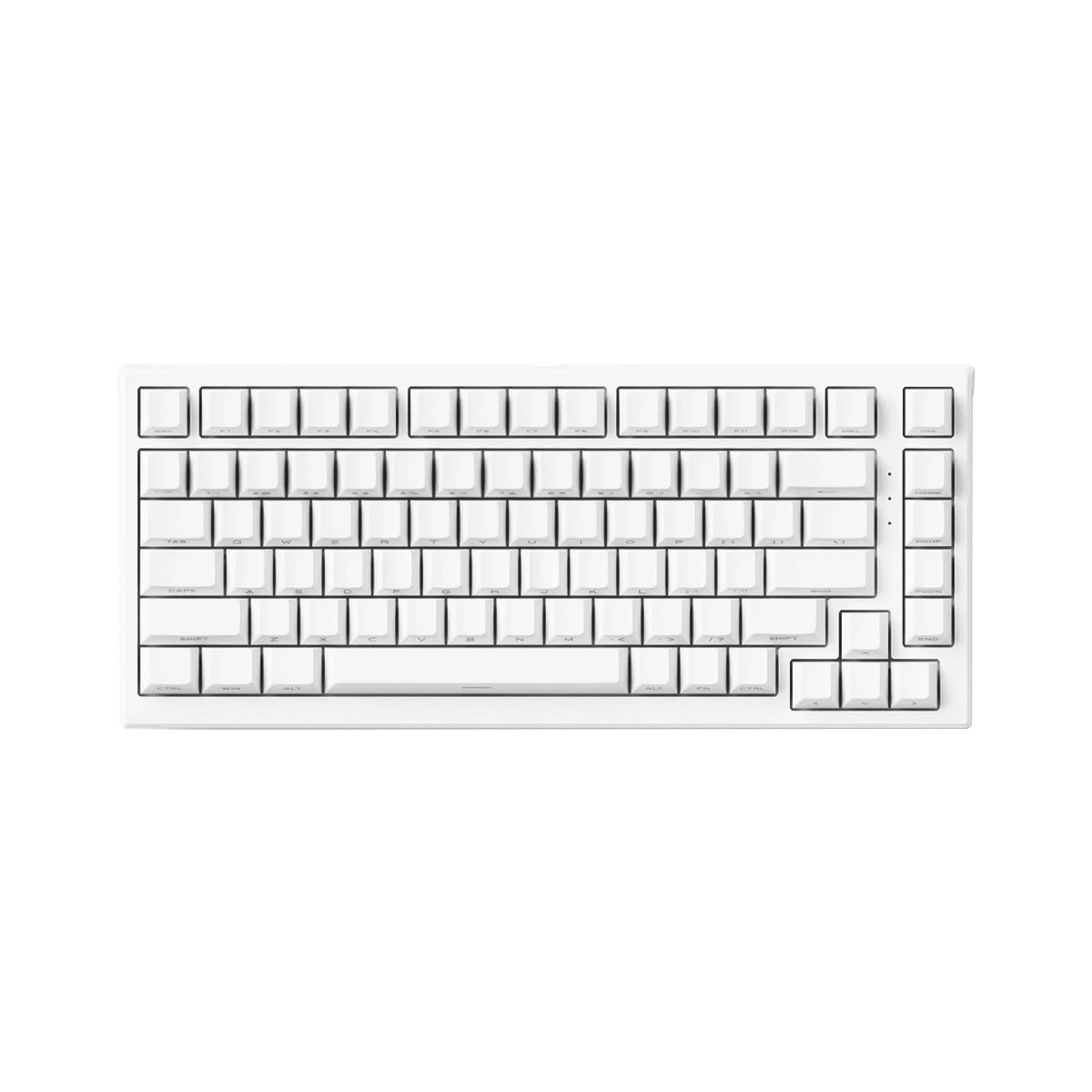 Akko Tac75 HE White 75% RGB Wired Hall-Effect Keyboard - Glare Magnetic Switches