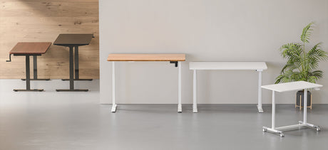 NZ’s Best Value Sit-Stand Desks: Why Lumi Is Number 1