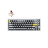 Keychron Q2 65% Silver Grey Mechanical Keyboard - G Pro Brown Switch