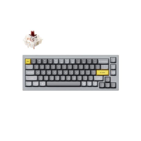 Keychron Q2 65% Silver Grey Mechanical Keyboard - G Pro Brown Switch