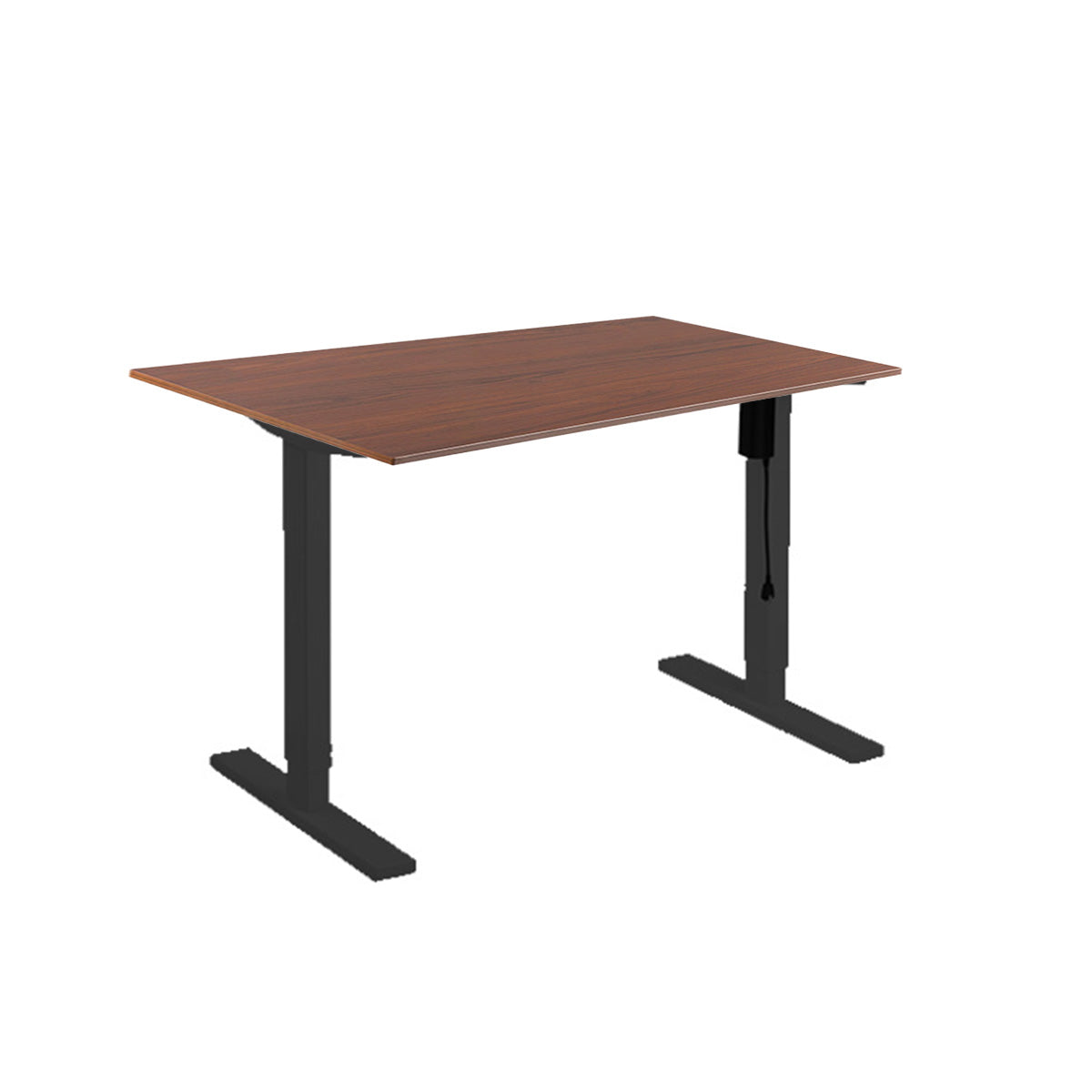 Lumi Commercial Electric Sit-Stand Desk + 1200X750mm Wood Table Dark Walnut