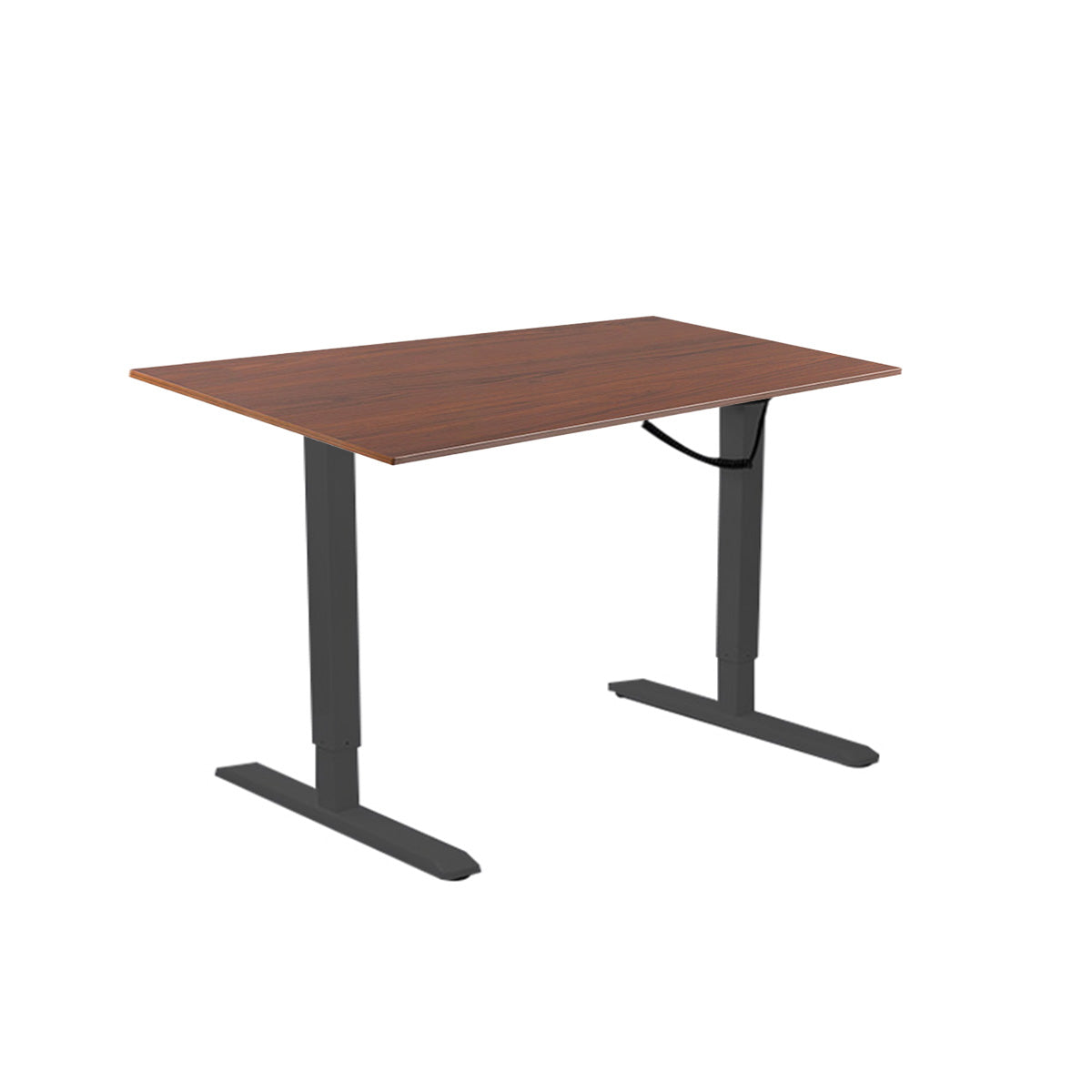 Lumi Premium Electric Sit-Stand Desk + 1200X750mm Wood Table Top Dark Walnut