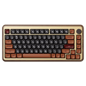 Akko MU02 Autumn 75% RGB Wireless Mechanical Keyboard - Rosewood Switch