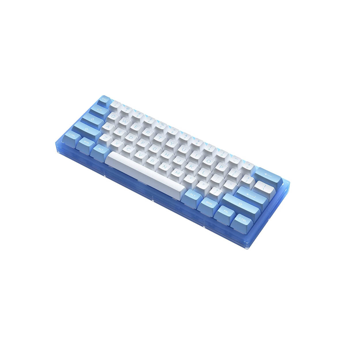 Akko ACR 61 RGB Hot-Swappable USB-C Keyboard CS Jelly Blue Switch =Showroom Demo Unit=