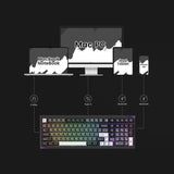 Akko Gem 02 VIA Black and Silver Compact 1800 Wireless Mechanical Keyboard -  Stellar Rose Switch