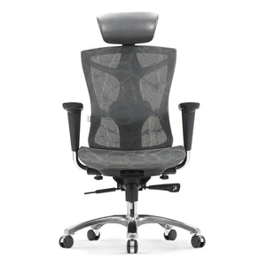 Sihoo V1 Ergonomic Office Chair - Dark Gray