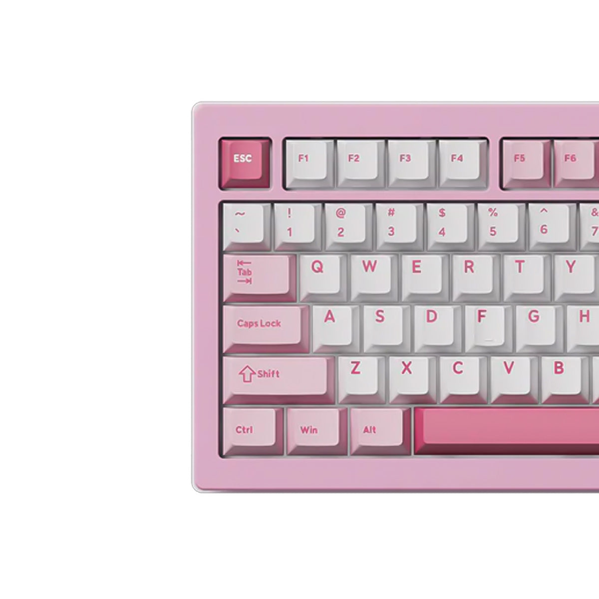Akko 5087 V3 Prunus Lannesiana TKL Wireless Mechanical Keyboard - Bittersweet Switch