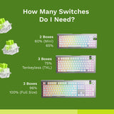 Glorious Raptor HE Standard Clicky Switches - 36 Pack