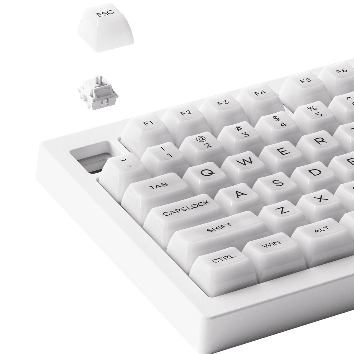 Akko 5075B Plus ASA 75% RGB Wireless Mechanical Keyboard Piano Pro Switch - White