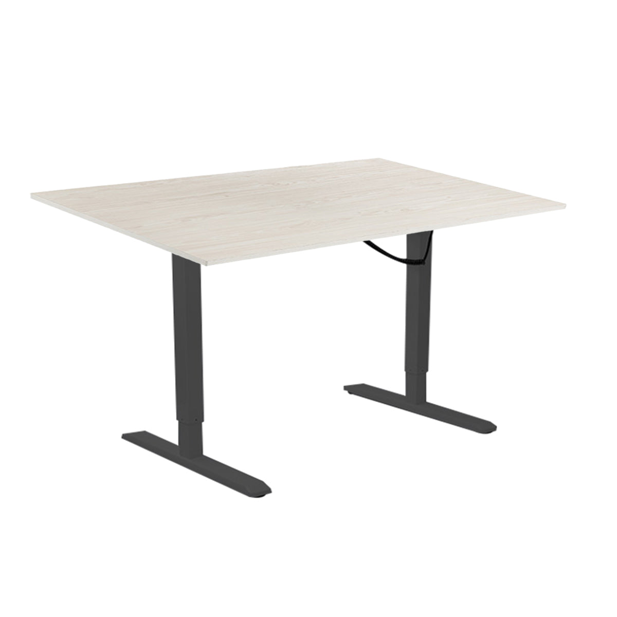 Lumi Premium Electric Sit-Stand Desk + 1800X750MM Rectangular Wood Table Top Paulownia