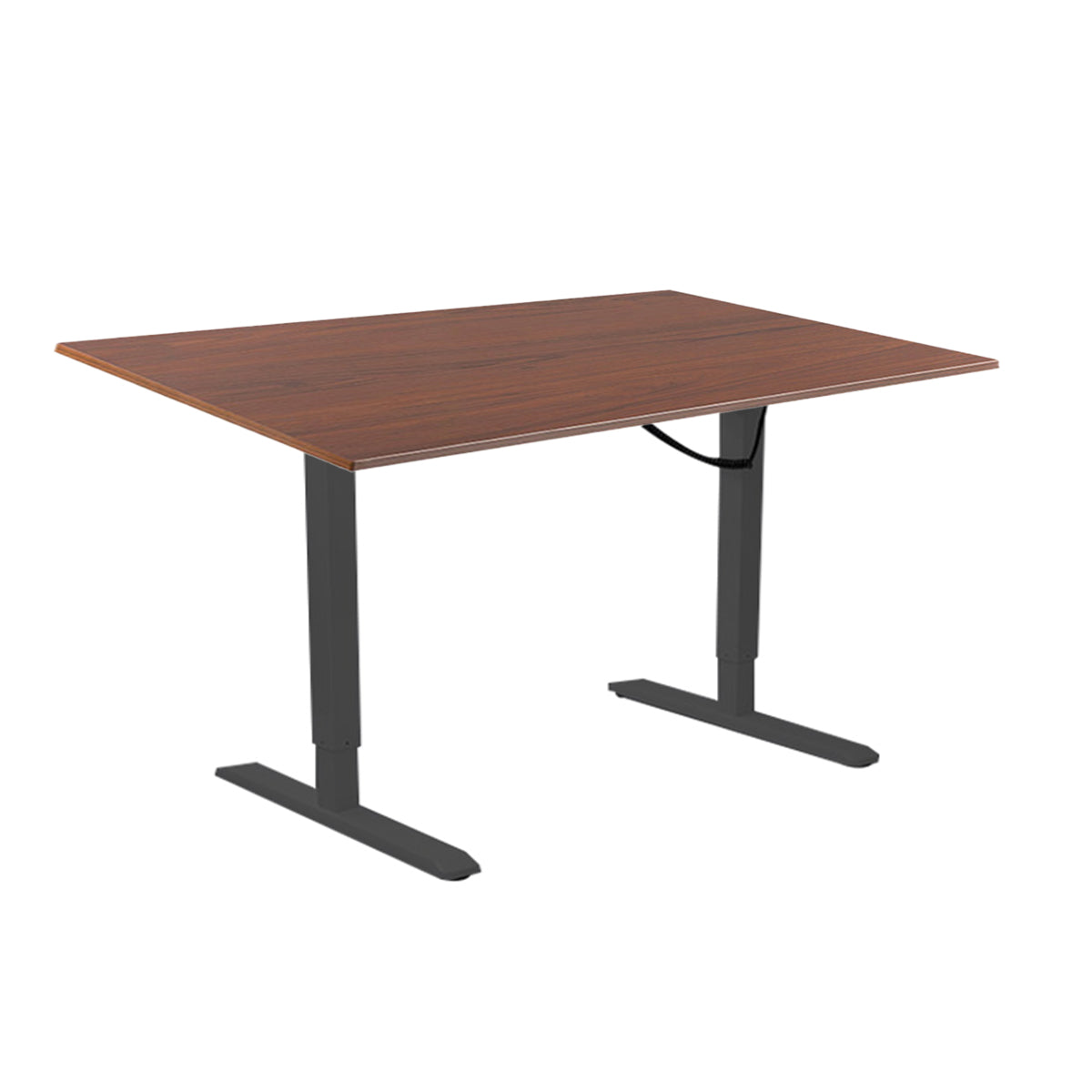 Lumi Premium Electric Sit-Stand Desk + 1800X750MM Rectangular Wood Table Top Dark Walnut