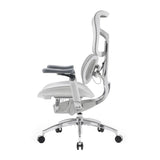 SIHOO S300 Mesh Ergonomics Office Chair Grey