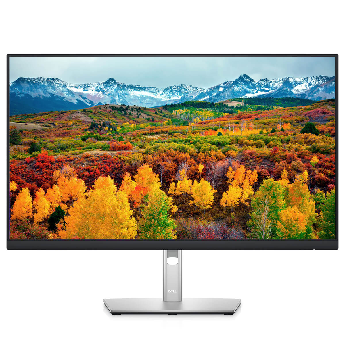 Dell P2722HE 27" FHD USB-C Business Monitor