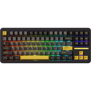 Akko Tac87 Black and Gold TKL RGB Wireless Mechanical Keyboard - Mirror Switch