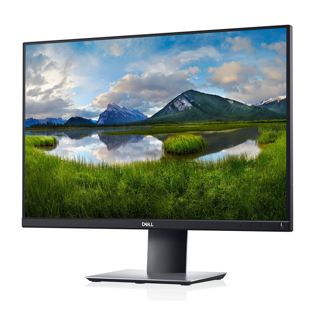 Dell Professional P2421 24" FHD IPS Monitor