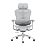 Sihoo C300 Mesh Ergonomics Office Chair Grey