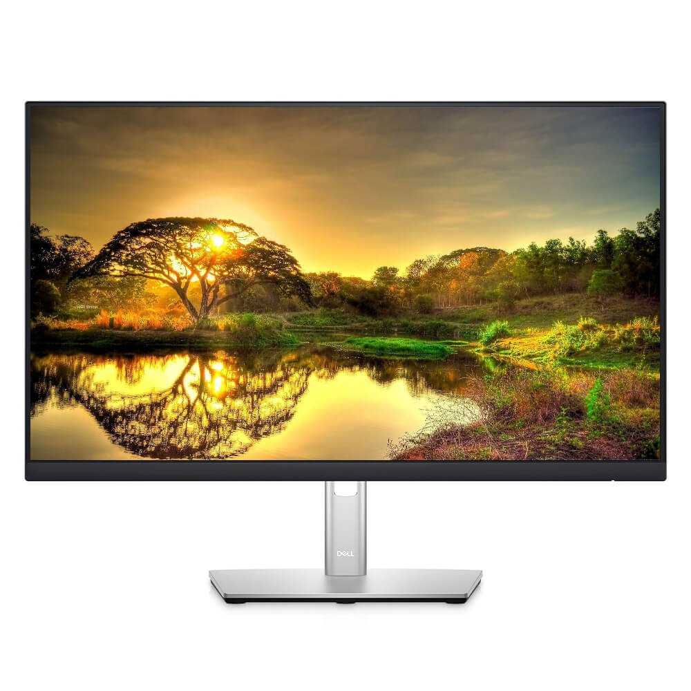 Dell P2422HE 24" FHD USB-C Business Monitor