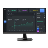 Lenovo C24-40 24" FHD VA Monitor