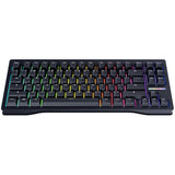 Wooting 80HE TKL Wired Gaming Keyboard - Lekker Linear60 v2 Switch - Ghost