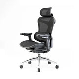 Sihoo C300 Mesh Ergonomics Office Chair Black