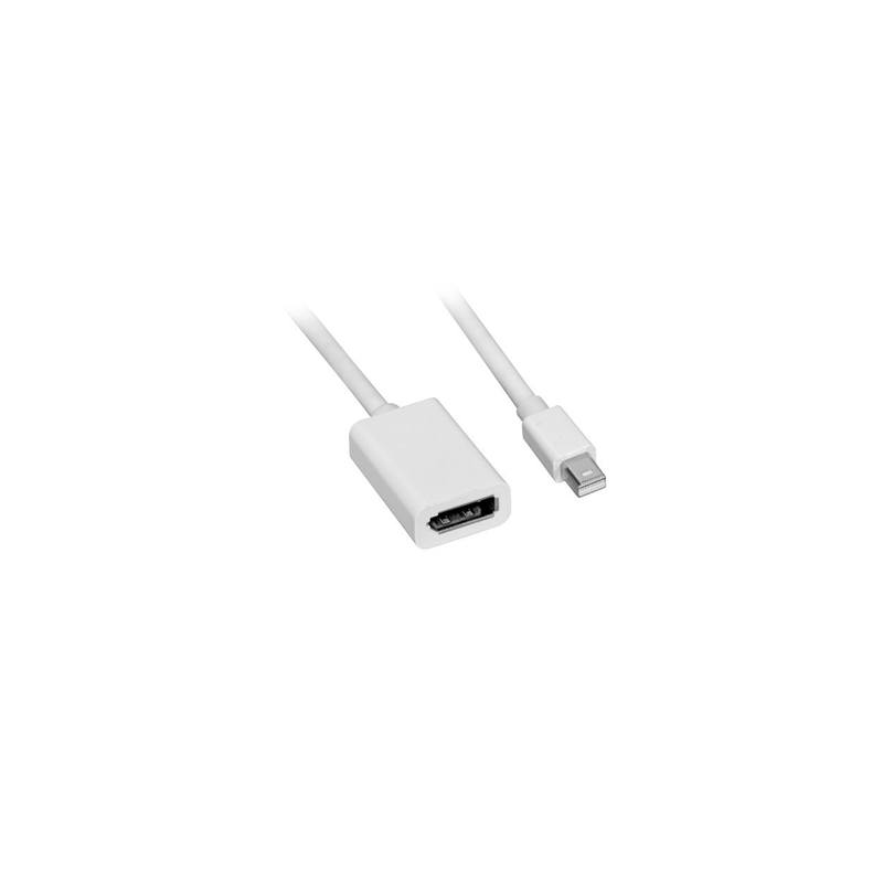 Dynamix Mini DisplayPort Male to DisplayPort Female Adaptor