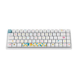 Akko 3068B Doraemon Rainbow Hot-Swappable Wireless RGB Keyboard CS Jelly Pink Switch