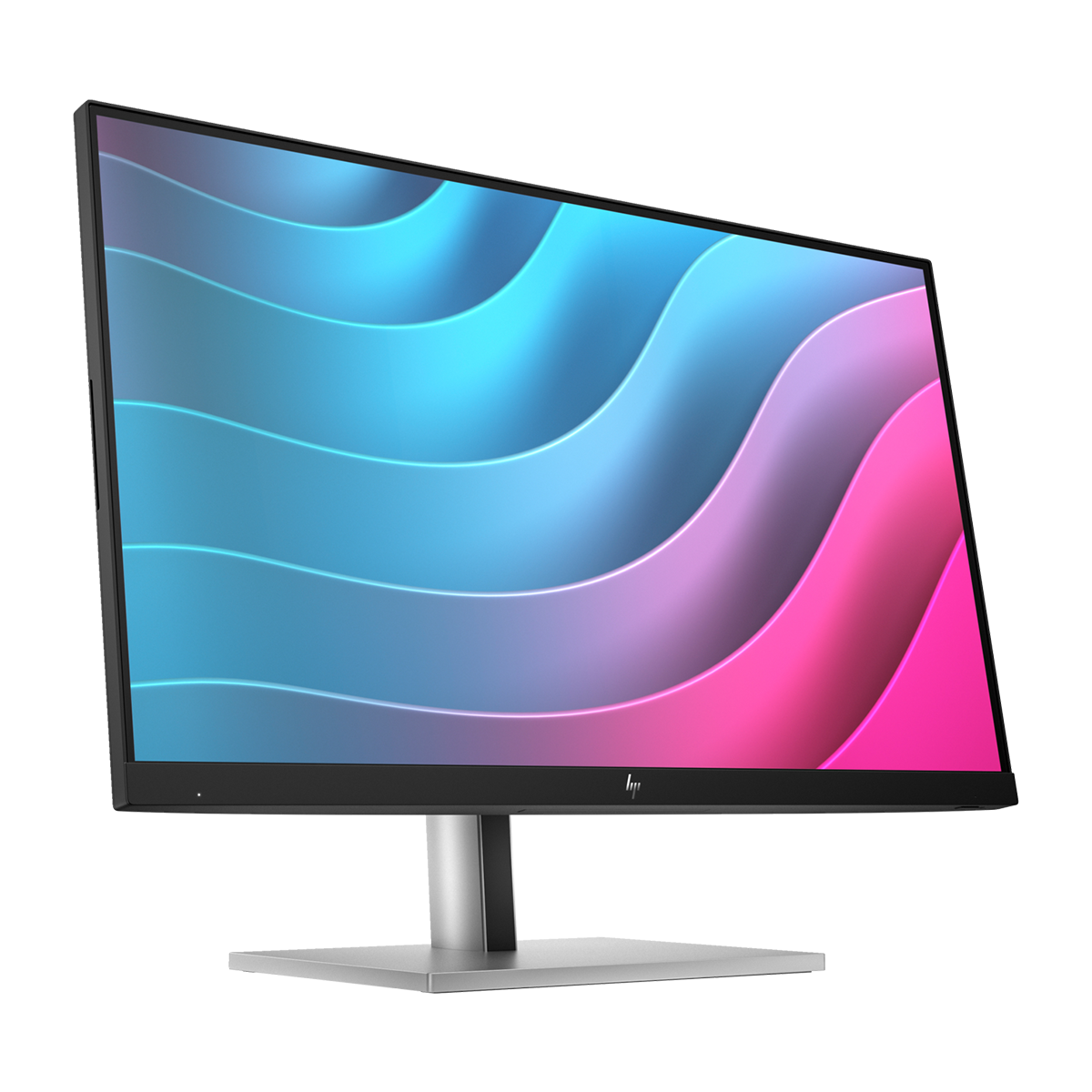 HP E24 G5 24" FHD IPS Monitor