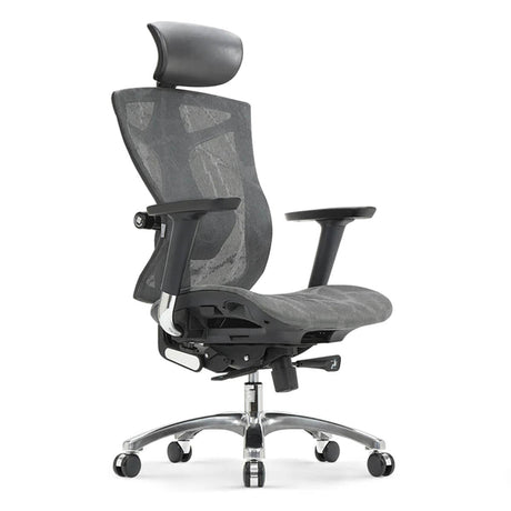 Sihoo V1 Ergonomic Office Chair - Dark Gray