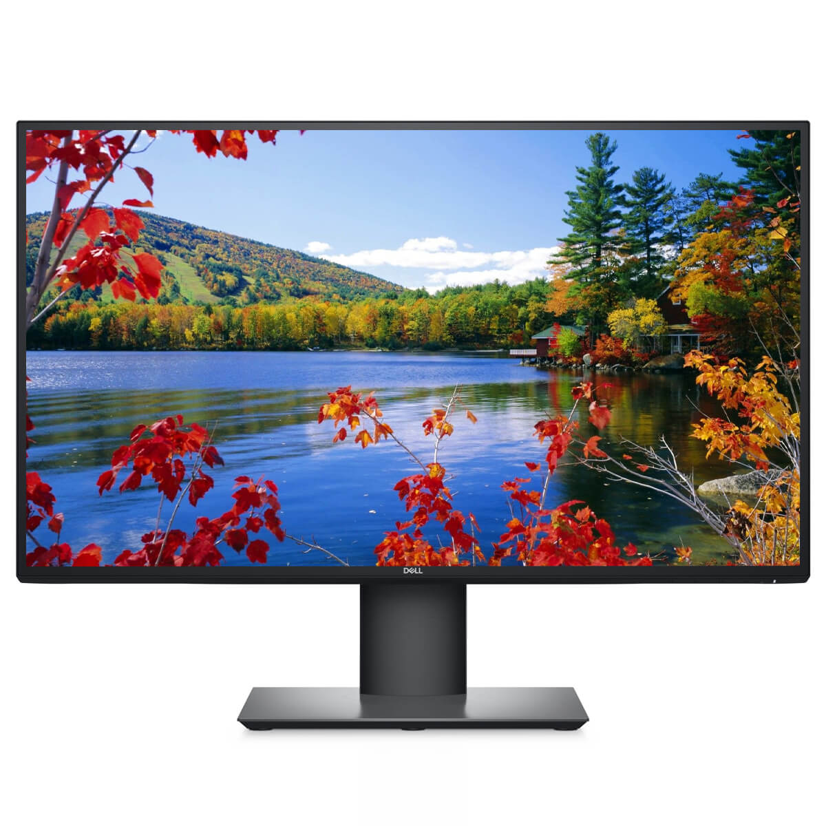 Dell UltraSharp U2520D 25" QHD 1440P IPS Monitor