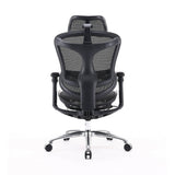 SIHOO C100 Mesh Ergonomics Office Chair Black