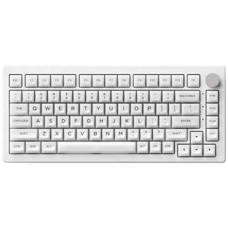 Akko 5075B Plus ASA 75% RGB Wireless Mechanical Keyboard Piano Pro Switch - White