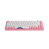 Akko 3068B Plus Sakura R2 Wireless RGB Hot-Swappable CS Jelly Pink Switch