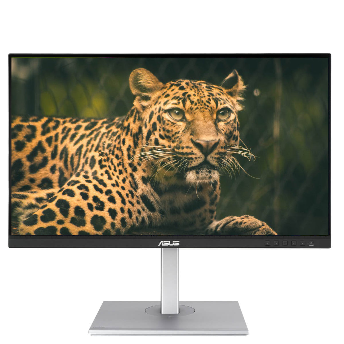 ASUS ProArt PA278CV 27" 2K WQHD IPS Professional Monitor - Open Box