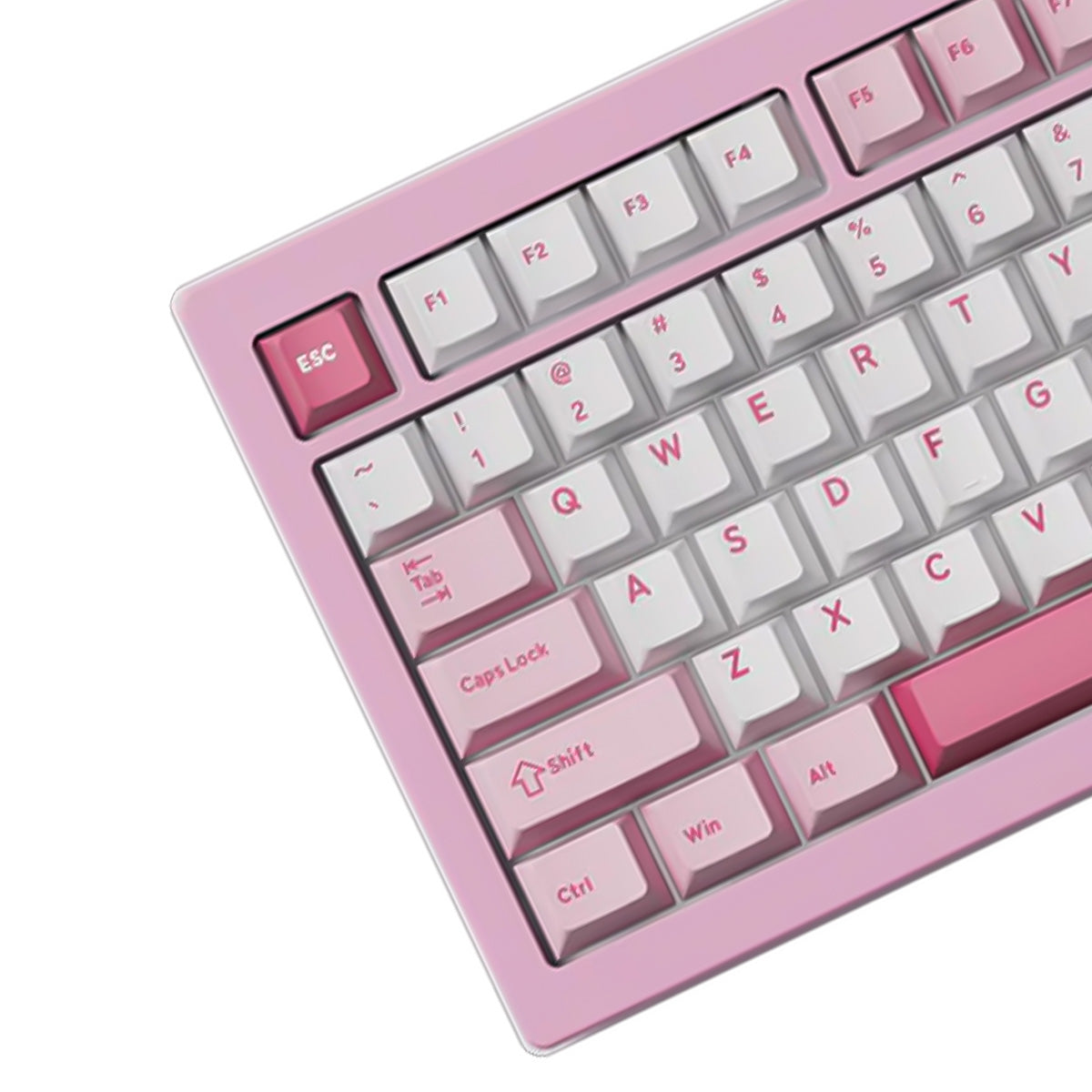 Akko 5087 V3 Prunus Lannesiana TKL Wireless Mechanical Keyboard - Bittersweet Switch