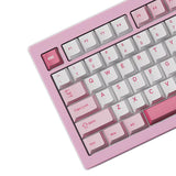 Akko 5087 V3 Prunus Lannesiana TKL Wireless Mechanical Keyboard - Bittersweet Switch