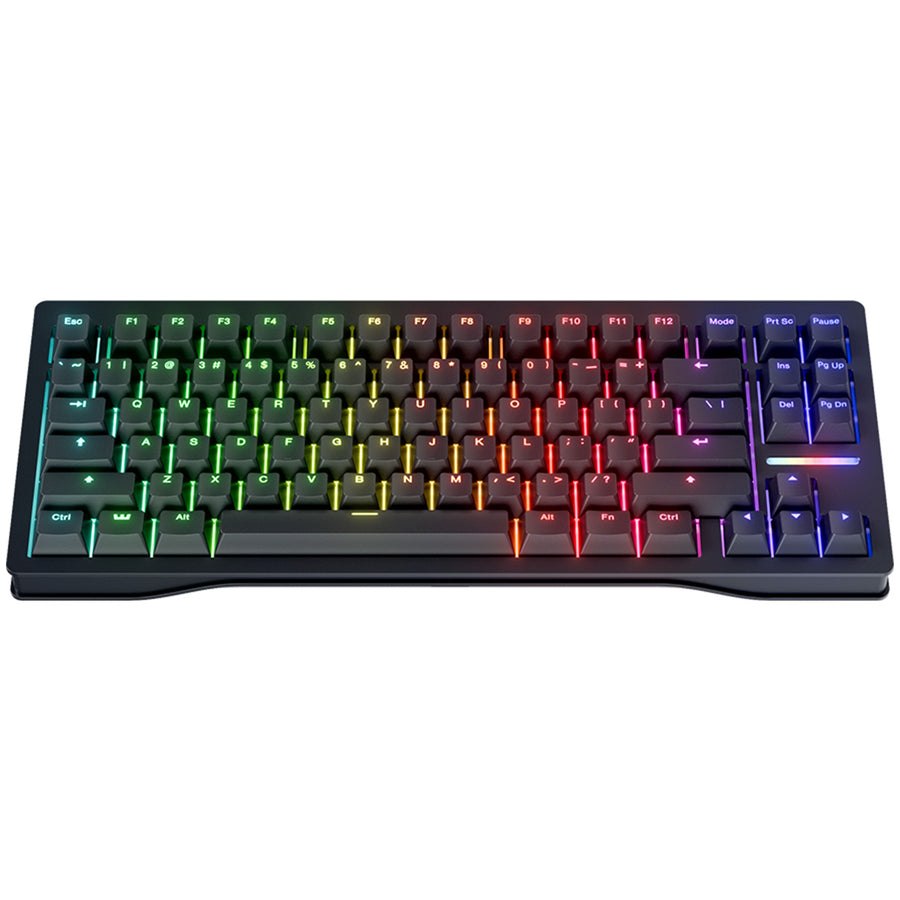 Wooting 80HE TKL Wired Gaming Keyboard - Lekker Linear60 v2 Switch ...