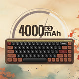 Akko MU01 Autumn 65% RGB Wireless Mechanical Keyboard - Rosewood Switch