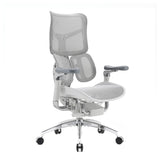 SIHOO S300 Mesh Ergonomics Office Chair Grey