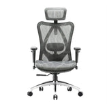 SIHOO M57 Mesh Ergonomics Office Chair Grey