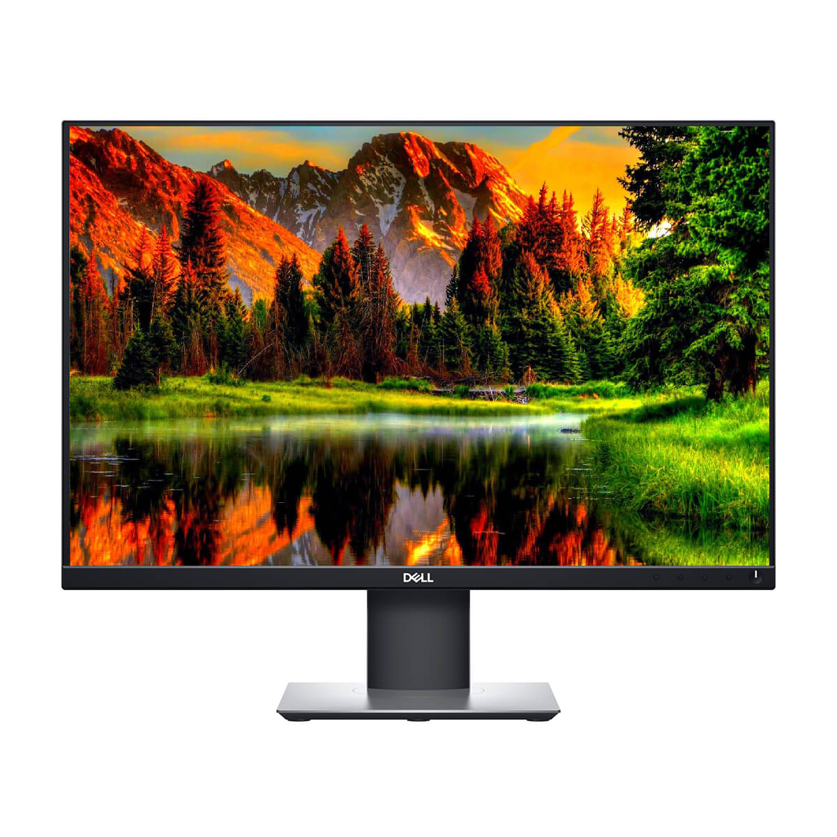 Dell Professional P2421 24" FHD IPS Monitor