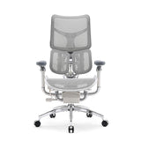 SIHOO S300 Mesh Ergonomics Office Chair Grey